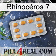 Rhinocéros 7 cialis3